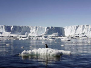 Antarctic sea ice shrinks for second-straight year