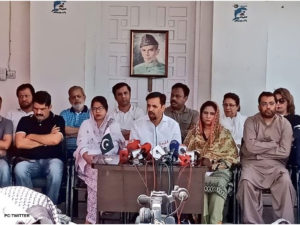 Two MQM-P MPAs join Mustafa Kamal's Pak Sarzameen Party