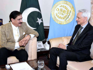 French Ambassador meets Nasser Janjua