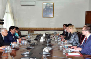 Ambassador Alice Wells discusses Pak-US bilateral ties, regional security with NSA