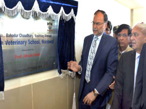Economy growing rapidly due to effective govt policies: Ahsan