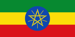 Bus crash kills 38 in Ethiopia: state media