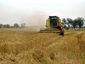 Farmers urged to install drip irrigation system