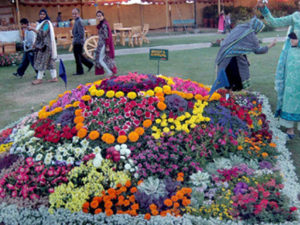 KU to hold flower exhibition on March 12