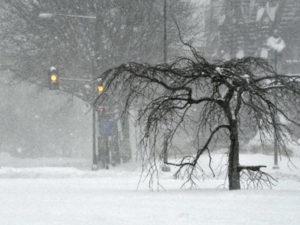 Winter storm hits northeast US, halting over 2,500 flights