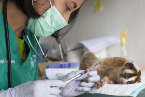 Hi-tech conservationists fight Indonesia wildlife crime
