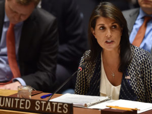 US at UN makes case for military action against Syria
