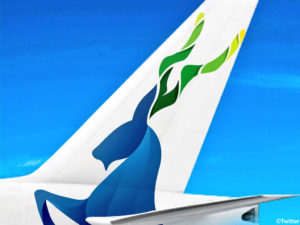 PIA changes logo to include Markhor on aircraft exterior &nbsp;&nbsp;