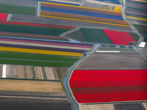 Garden of Europe