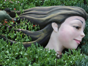 Tulipmania
