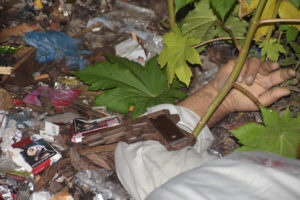 Death toll in Bangladesh 'anti-drugs' crackdown rises above 50