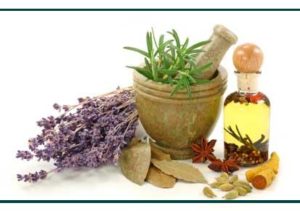 The herbal potential