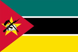 Mozambique's leader wants Renamo to disarm immediately