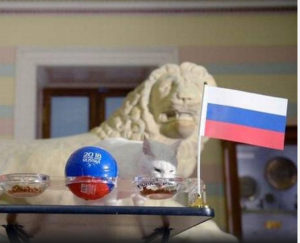 Russia hopes clairvoyant cat has purrrfect form