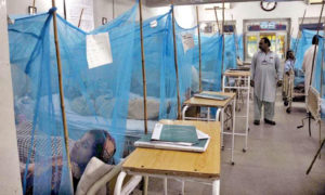 More dengue cases reported in Karachi