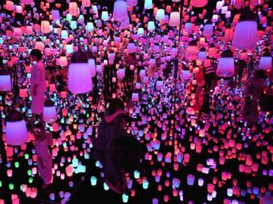 Digital Art Museum