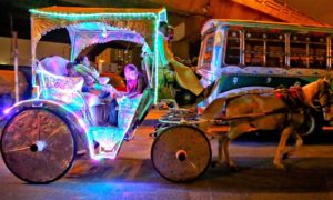 Riding on colourful Tonga