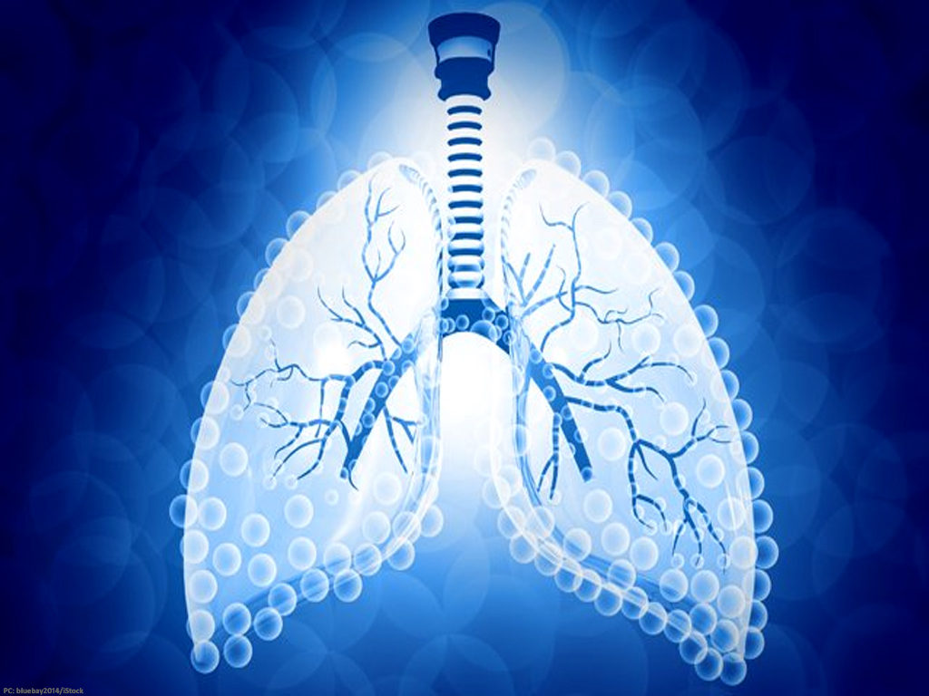 New lung-like device converts water into clean fuel - Editorials