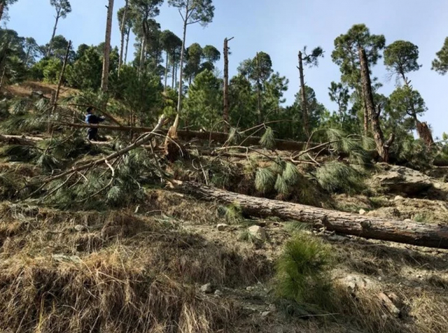 Pakistan lodges formal complaint to UN over forest damage by Indian air strike