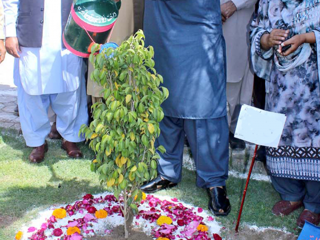 Plantation ceremony held at Pirowal forest