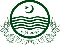 Is Punjab reintroducing ‘patwari system’? Govt clarifies Is Punjab reintroducing ‘patwari system’? Govt clarifies