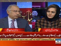 Saving Pakistan from default is govt's first priority, says Sheikh Saving Pakistan from default is govt's first priority, says Sheikh